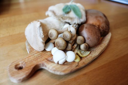 champignons